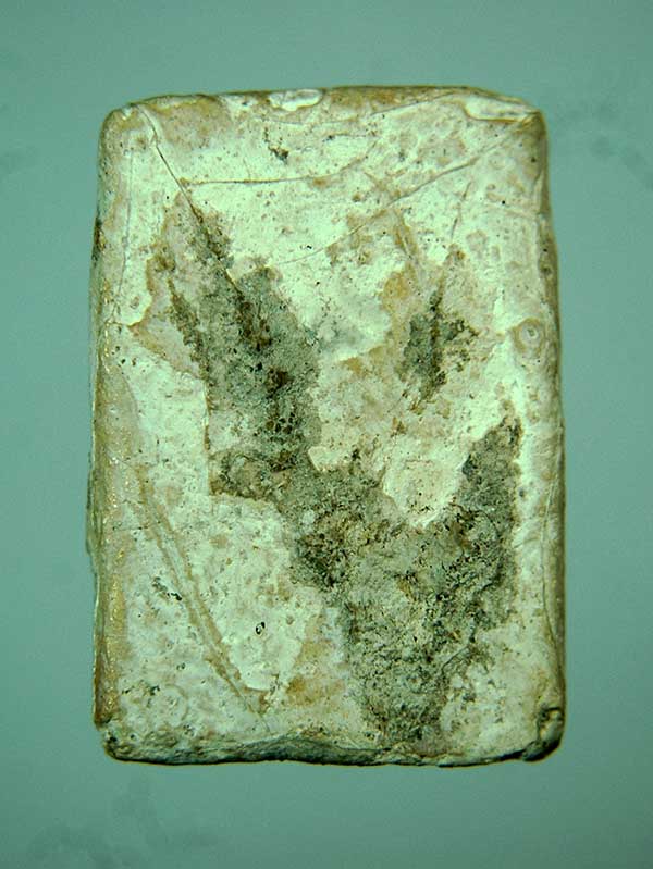 พระกรุวัดคู้สลอด พิมพ์หนุมาน