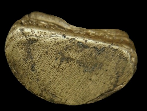 รูปหล่อรุ่นแรกหลวงพ่อฟัก วัดบันได จ.อยุธยา