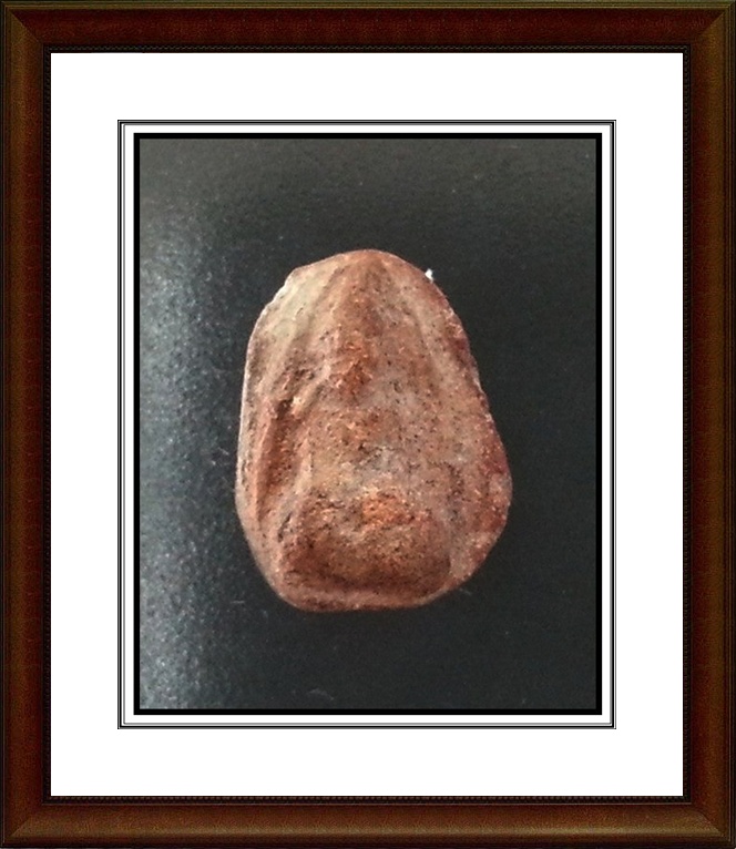 พระพิจิตรเม็ดน้อยหน่า กรุท่าฉนวน จ.พิจิตร