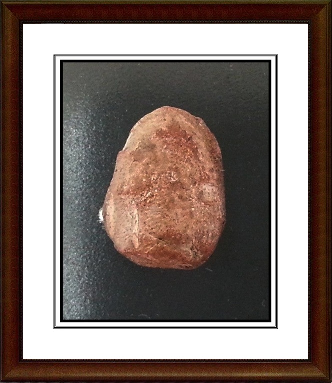 พระพิจิตรเม็ดน้อยหน่า กรุท่าฉนวน จ.พิจิตร