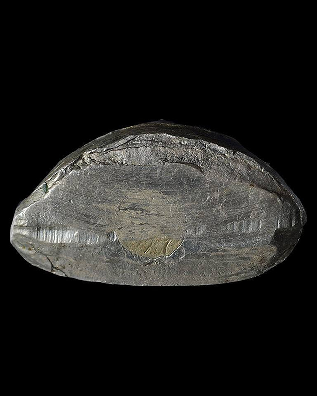 พระหลวงพ่อเงินปี15 บึงนาราง เนื้ออัลปาก้า บล็อคนิยม 