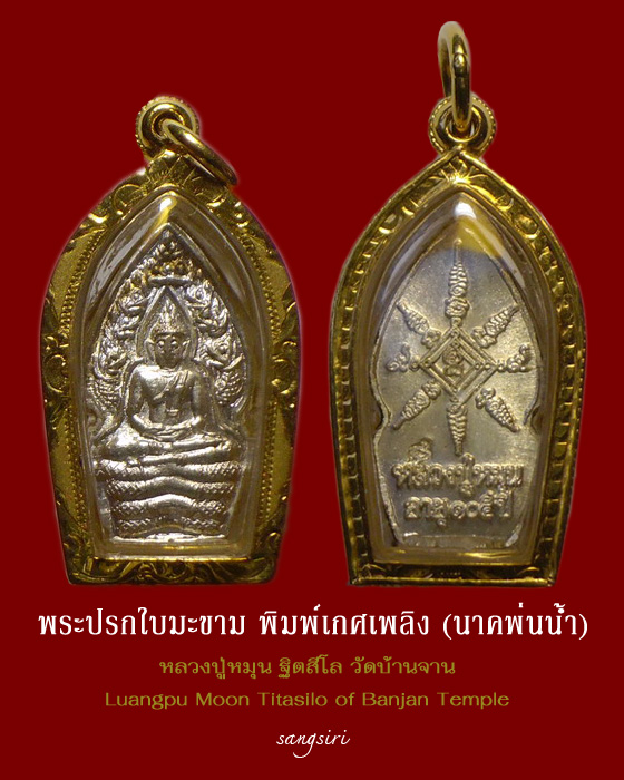 พระปรกใบมะขาม พิมพ์เกศเพลิง (นาคพ่นน้ำ) รุ่นเสาร์ 5 บูชาครู ปี 2543 หลวงปู่หมุน ฐิตสีโล