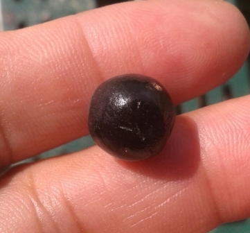 เม็ดประคำ เหล็กน้ำพี้ รุ่น เสาร์ห้ามหาเศรษฐี 1เม็ด วัดซับลำใย หลวงปุ่หมุน ปลุกเศก ปี 43..(10)