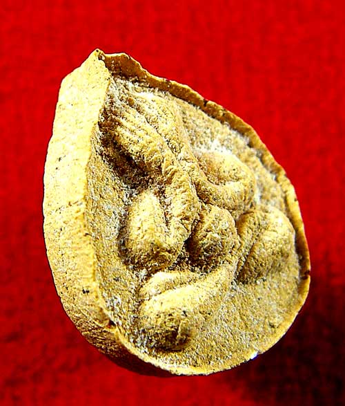 พระปิดตาบัวผุด รุ่นแรก หลวงพ่อสาคร