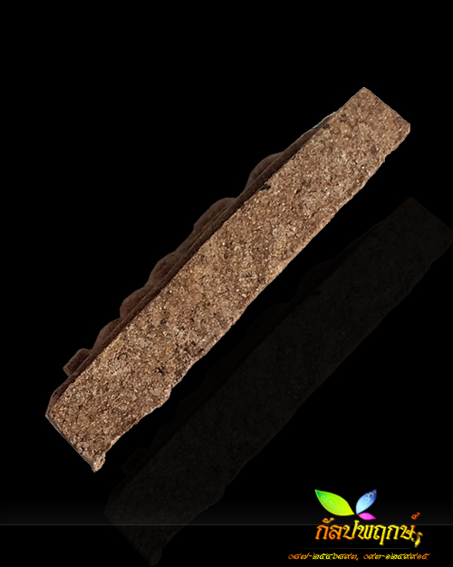 สมเด็จโนนผึ้ง ฝังเพชรหน้าทั่ง วัดโนนผึ้ง จ.ศรีสะเกษ ๒๕๔๐