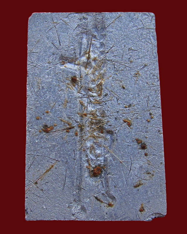 พระสมเด็จชินบัญชร หลังลายเซ็นต์ หลวงพ่อสาคร มนุญโญ วัดหนองกรับ เนื้อผงดำ โรยเส้นเกษา ปี ๒๕๔๒