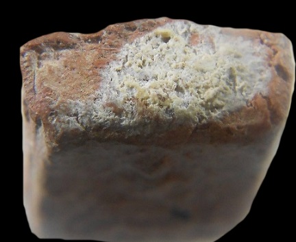 หลวงพ่อผาดทรงเสือ สวยๆ