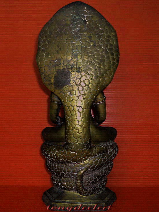 พระบูชาปางนาคปรก หลวงพ่อนาค วัดดอนลาน จ.อยุธยา สวยมากค่ะ