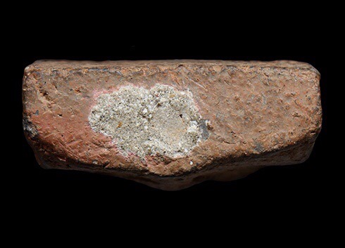 หลวงพ่อผาดทรงสิงห์ มีขวัญ เนื้อจัดมาก