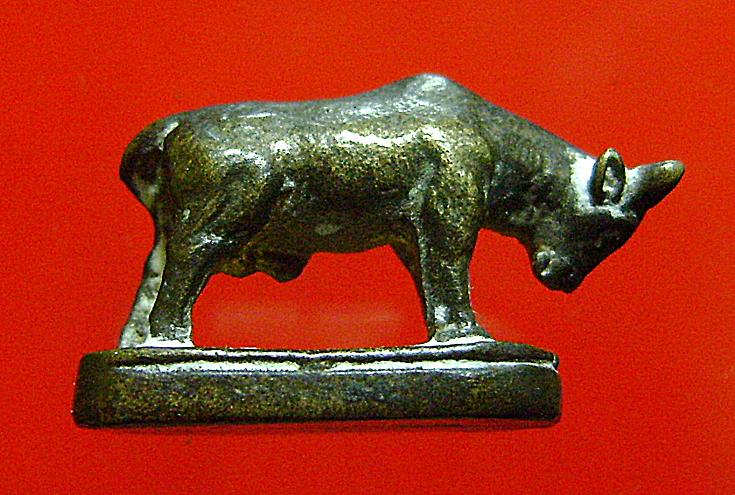 วัวหลวงพ่อแช่มวัดดอนยายหอมสวยครับ