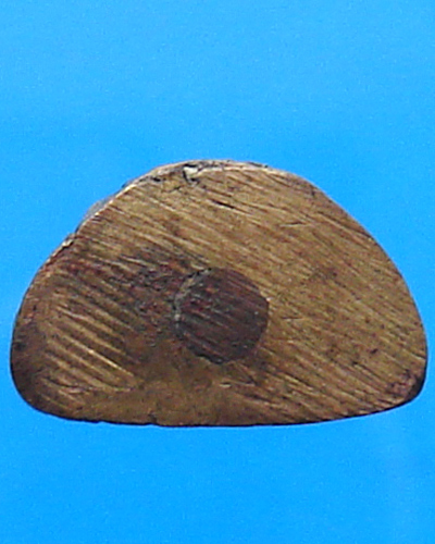 รูปหล่อพ่อท่านเจ้าถ้ำ วัดสุวรรณคูหา พังงา