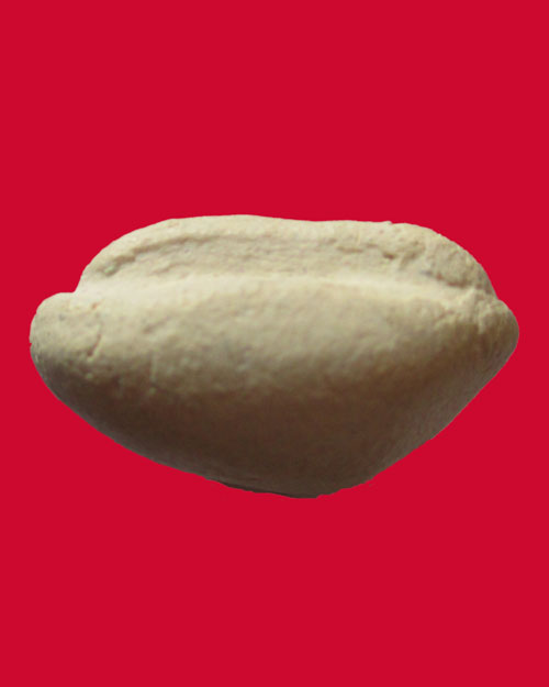 พระผงวัดราชสิทธาราม ( วัดพลับ ) พิมพ์สมาธิใหญ่ ปี 2516 หลวงปู่โต๊ะปลุกเสก