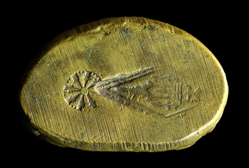 ชินราชต้อ โค๊ตชัด