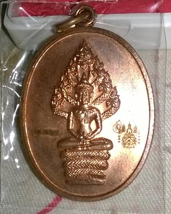 เหรียญพระนาคปรก ไตรมาส ๕๑ หลวงพ่อสาคร เนื้อทองแดงผิวไฟ  พิมพ์ใหญ่  หมายเลข ๗๒๑๓