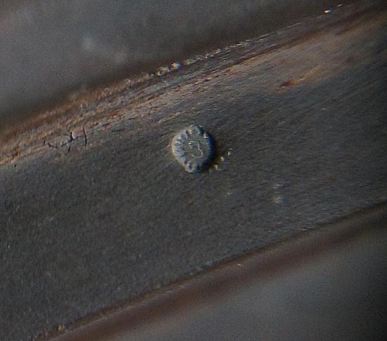 พระบูชาหลวงปู่โต๊ะ5นิ้ว