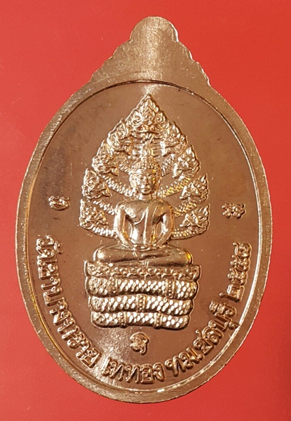 เหรียญเจ้าคุณอนันต์  หลังพระนาคปรก วัดเขาบางทราย