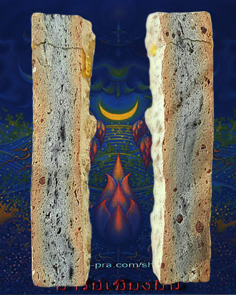 พระแผงนาดูน ตัดเก้า พิมพ์นิยม นาคปรกเล็ก  เคาะเดียว   กรุ ปี 22