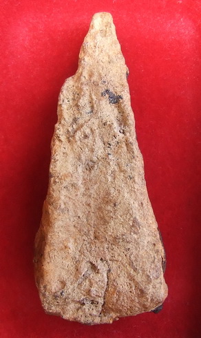 พระว่านจำปาศักดิ์ พิมพ์มารวิชัย องค์ใหญ่ สภาพสวย 