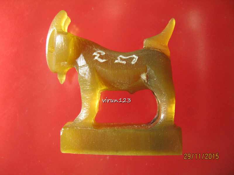 วัดใจ.....แพะ แกะจากเขาควายเผือก ฐาน2.5 x สูง 3  ซม. หลวงพ่อสิน วัดละหารใหญ่ 3