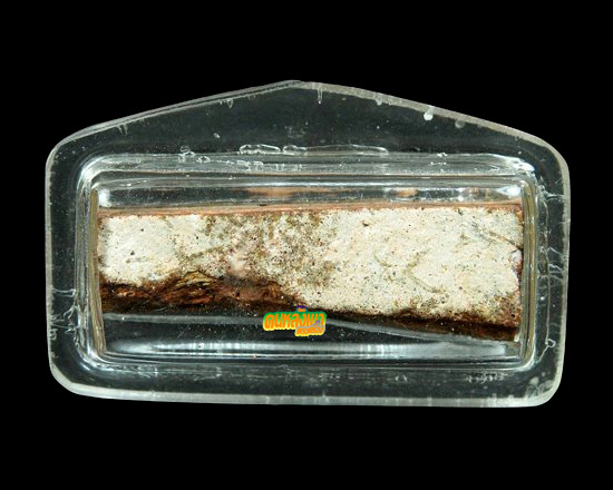 กรุนาดูน ตัดสาม มะขามเปียก นิยม