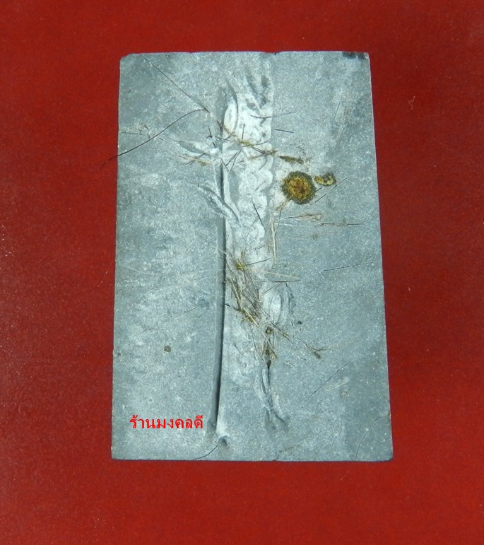 พระสมเด็จชินบัญชร หลังลายเซ็นต์ ปี42 หลวงพ่อสาคร วัดหนองกรับ เนื้อดำผสมเกศา #9