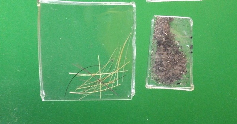 หลวงปู่ชื้น พระรัตนจักร วัดญาณเสน จ.อยุธยา  พร้อมเกศา  อังคารปนอัฐิ