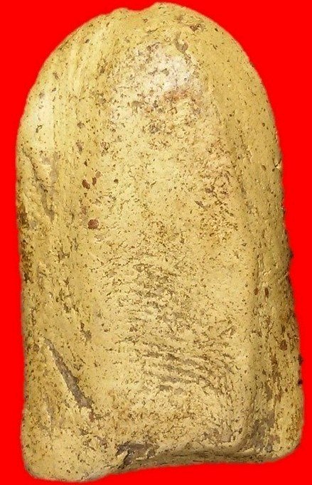 พระคงลำพูนกรุเก่า เนื้อสวยจัดจ้านองค์ล่ำ โพธิ์เด้ง ฟอร์มสวย หายากครับ