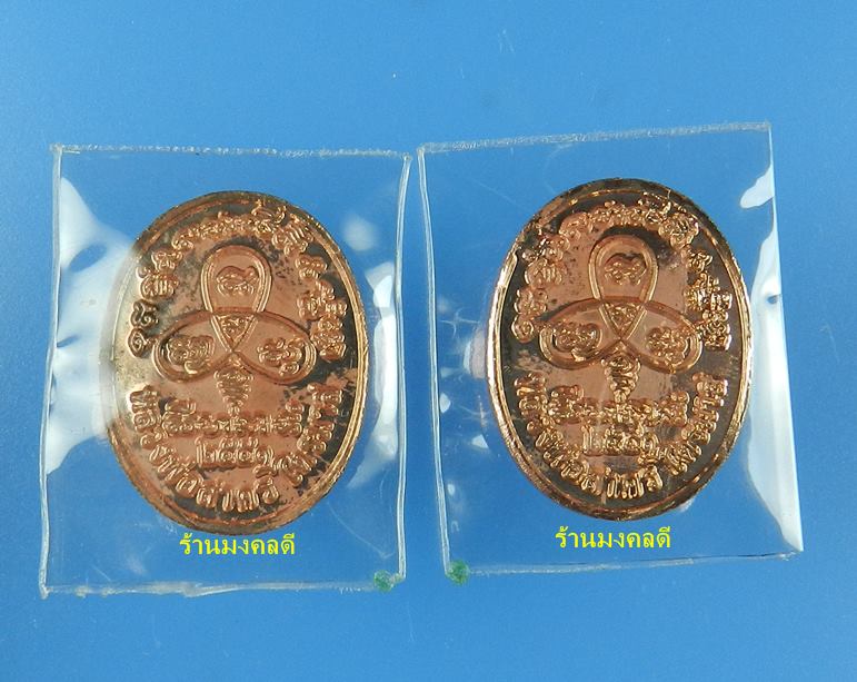 เหรียญพระนาคปรกไตรมาส 51 พิมพ์เล็ก หลวงพ่อสาคร เนื้อทองแดง ตอกโค๊ด นะ จำนวน 2 เหรียญ #12 #13