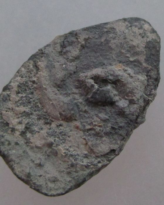 พระพิจิตรเม็ดข้าวเม่า เนื้อชินเงิน