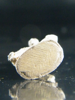 (เคาะเดียว) รูปหล่อ เนื้อเงิน หลวงพ่อเปิ่น วัดบางพระ นั่งเสือ ออกวัดหนองหมูใต้ ปี 36