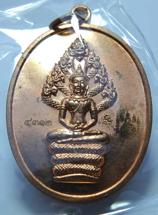 เหรียญปรกไตรมาส หลวงพ่อสาคร วัดหนองกรับ 2551...(กล่องเดิม)