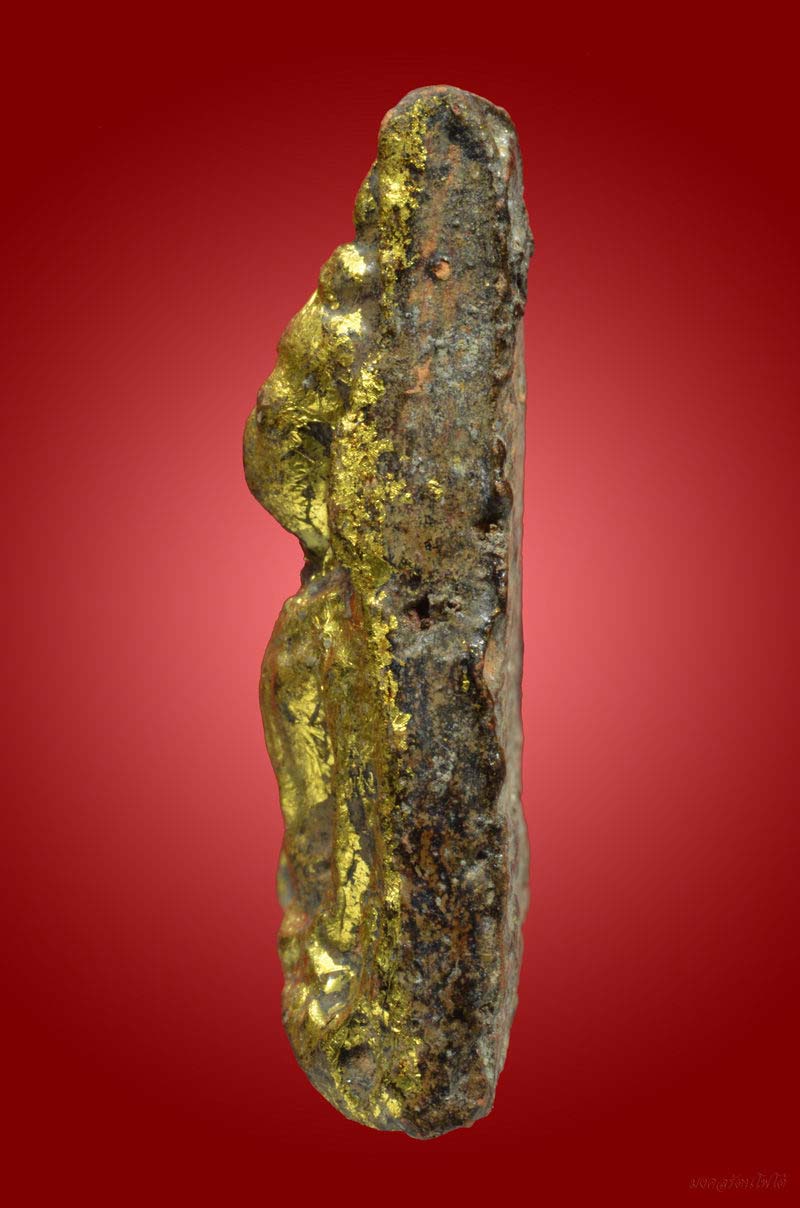 นางพญา วัดโพธิ์ เดิม