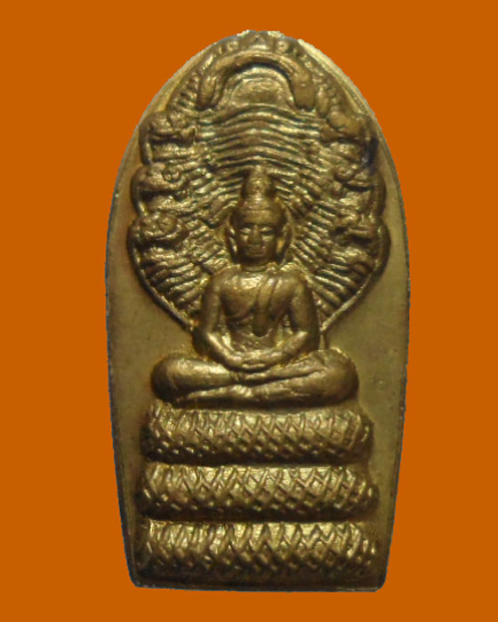 *** จ.เลย *** เหรียญพระนาคปรก หลวงปู่ขันตี ญาณวโร วัดป่าม่วงไข่ (เมตตา๖๘)