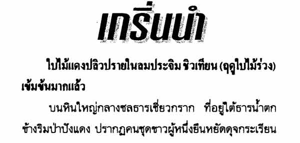 หนังสือกระบี่ไร้เทียมทาน 1591 หน้า บทประพันธ์ :อึ้งเอ็ง จบบริบูรณ์