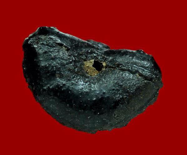 ปิดตาเนื้อฟอสซิลคลุกรัก หลวงปู่หมุน วัดบ้านจาน อีกหนึ่งความสุดยอดที่ต้องสะสม