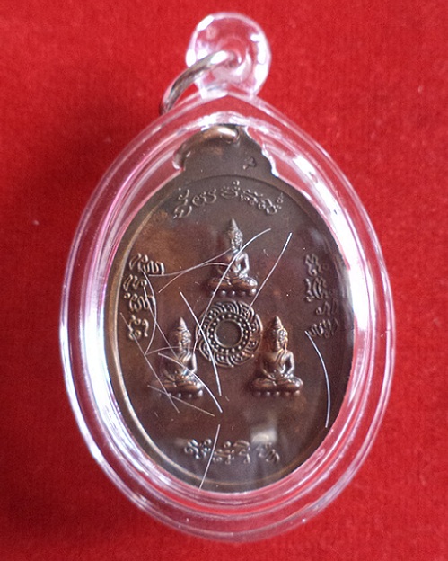 เหรียญธรรมสภา บล็อกนิยม " เนื่อง " เลี่ยม+เกศา หลวงปู่ชื้น วัดญานเสน ปี38 ตอกโค๊ต...เคาะเดียวแดง...