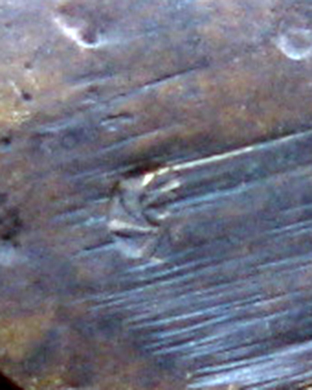 หลวงพ่อชื้น พุทฺธสโร  วัดญานเสน จ.พระนครศรีอยุธยา