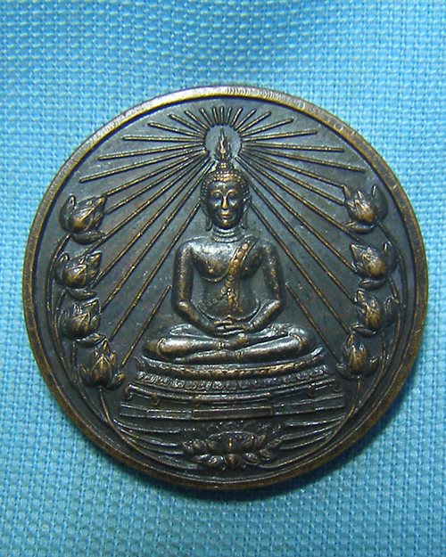 เหรียญพลังแห่งแผ่นดิน (น.ส.พ.ลานโพธิ์สร้าง 5ธ.ค.2542)
