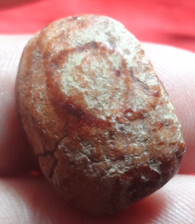 : พระสังกระจายกรุอัมพวา