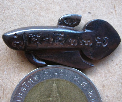 ปลากัดเรียกโชค เรียกลาภ หลวงพ่อน่วม วัดโพธิ์ศรีเจริญ จ.สุพรรณบุรี "เนื้อแร่" นิยม