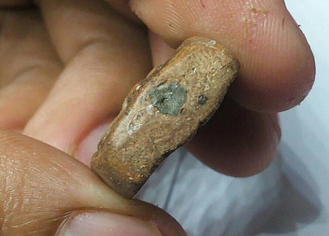 พระขี่นก บัวฟันปลา หลวงพ่อปาน วัดบางนมโค จ.อยุธยา 2460 สภาพสวย พระเด้งเด้ง ยันต์เด้งเด้ง+เลี่ยมทอง