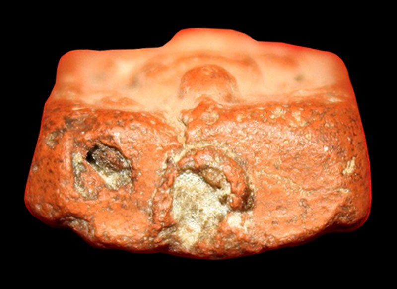 พระขี่ไก่ หางสามเส้น หลวงพ่อปาน วัดบางนมโค จ.อยุธยา 2460 สภาพสวยมาก ผงล้นล้น+ตลับทองคำ9.71กรัม+บัตร