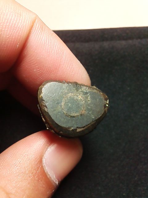 รูปหล่อ หลวงปู่เปลื้อง วัดลาดยาว 106 ปี สวยเดิม