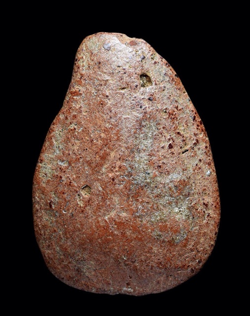 กลีบบัวกำแพง 