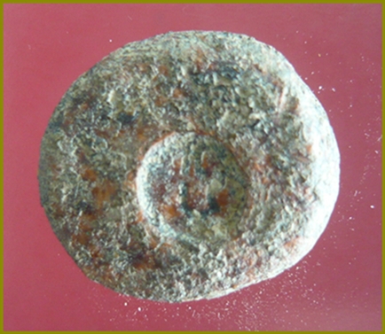 พระปิดตาหลวงพ่อภู วัดท่าฬ่อ จ.พิจิตร