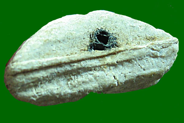 พระสังกัจจายน์ หลวงปู่โต๊ะ วัดประดู่ฉิมพลี เนื้อผงเกสร ปี2520