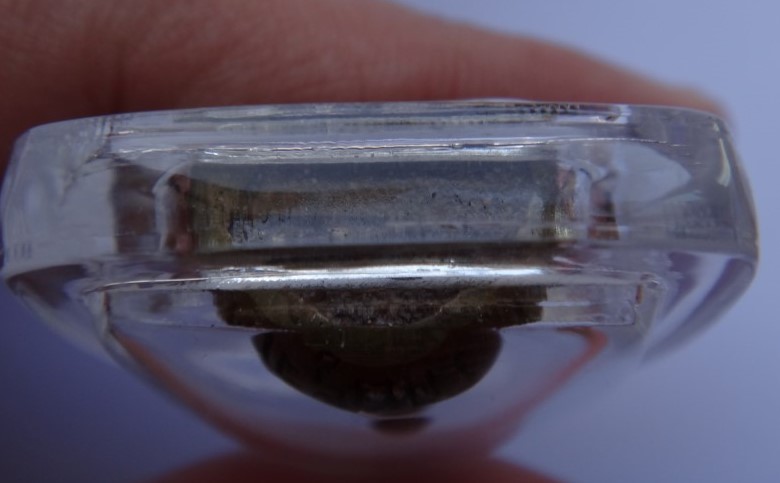  สิวลีจกบาตรหลวงปูขุ้ย วัดซับตะเคียน อุดชานหมาก ผงพุทธคุณ เคาะเดียว