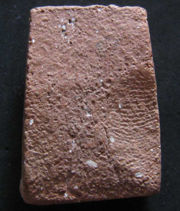 หลวงพ่อผาด กรุวัดดงตาล ทรงเสือ หลวงพ่อปาน วัดบางนมโค ร่วมปลุกเสก อุดผงเต็ม 