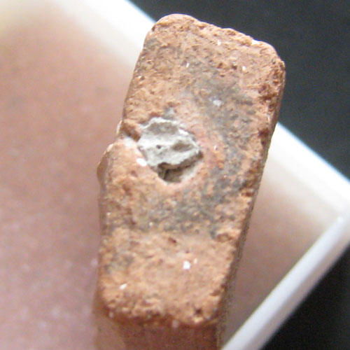 หลวงพ่อผาด กรุวัดดงตาล ทรงเสือ หลวงพ่อปาน วัดบางนมโค ร่วมปลุกเสก อุดผงเต็ม 