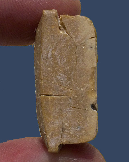 พระผงรูปเหมือน หลวงปู่โต๊ะ เนื้อเกสร